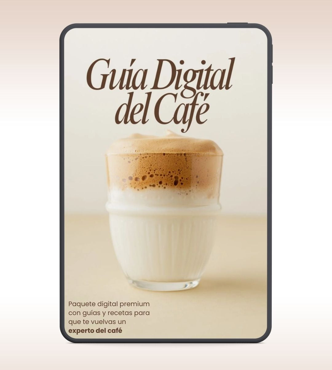 LA GUÍA DEFINITIVA DEL CAFÉ